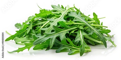 Fresh Green Arugula Leaves Closeup on White Background, Salad Greens, Rocket, Edible Greens