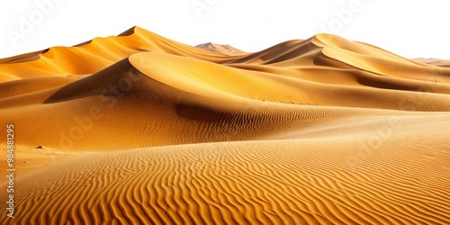 Golden Sands of the Arabian...