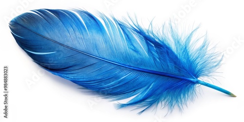 Single Blue Bird Feather, M...