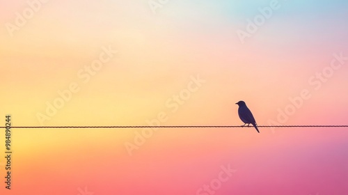 bird sitting  on top of cable 