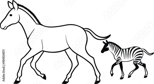horse and foal