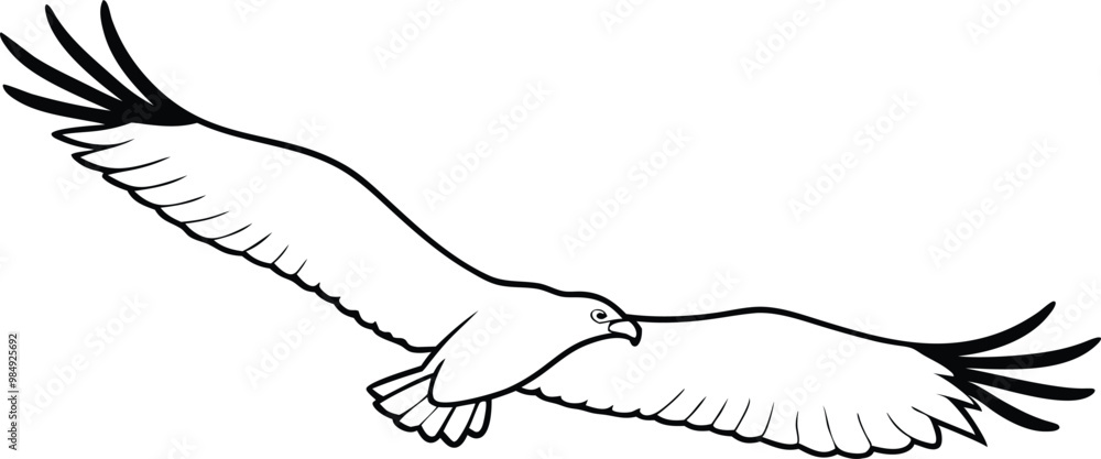 Vulture Soaring High Overhead Vector Art for Kids Coloring Adventures
Vulture Soaring High Overhead Vector Art for Kids Coloring Adventures