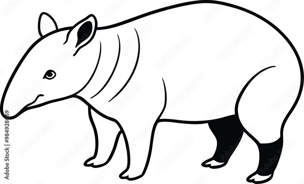 Fototapeta premium Discover the Jungle Tapir Fun Vector Illustration for Kids Art 