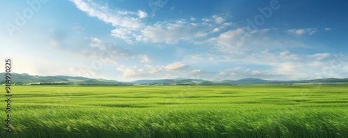 Beautiful natural scenic panorama green field and blue sky with clouds on horizon. Perfect green lawn on sunny day