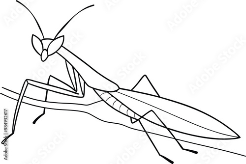 Nature's Master of Disguise Praying Mantis Vector Illustration for Kids
