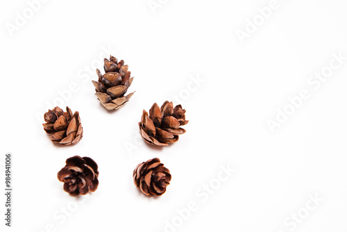 flat lay of five mini pincones against a white background with copy space available 