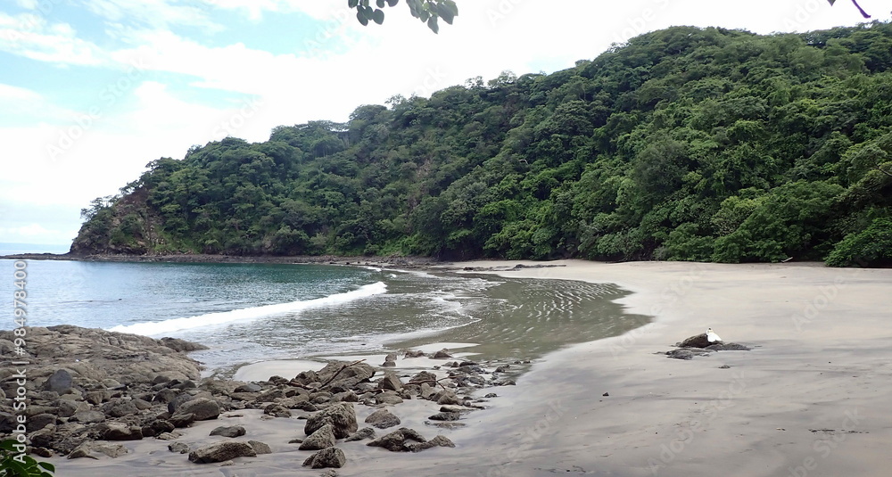 Costa Rica Sea Life Costa Rica Sea Life