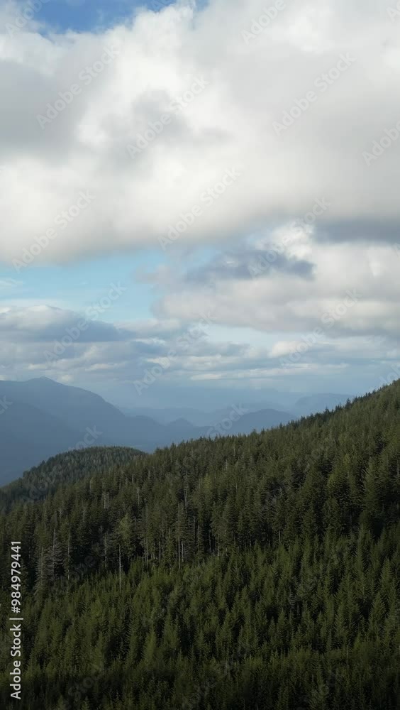Vertical video of a dense forest covering rolling hills, with mountains and clouds in the distance. British Columbia, Canada. Vertical video of a dense forest covering rolling hills, with mountains and clouds in the distance. British Columbia, Canada.