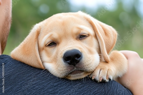 A dog resting its head on a person's shoulder, symbolizing trust, love, and protection