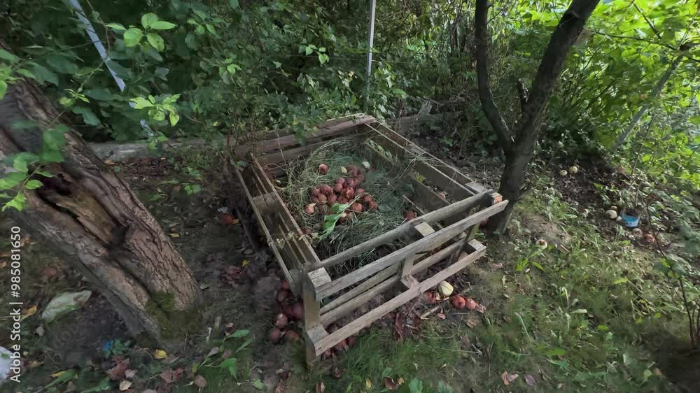 Wooden palette composter for kitchen and garden leftovers. Permaculture concept. Eco gardening Wooden palette composter for kitchen and garden leftovers. Permaculture concept. Eco gardening
