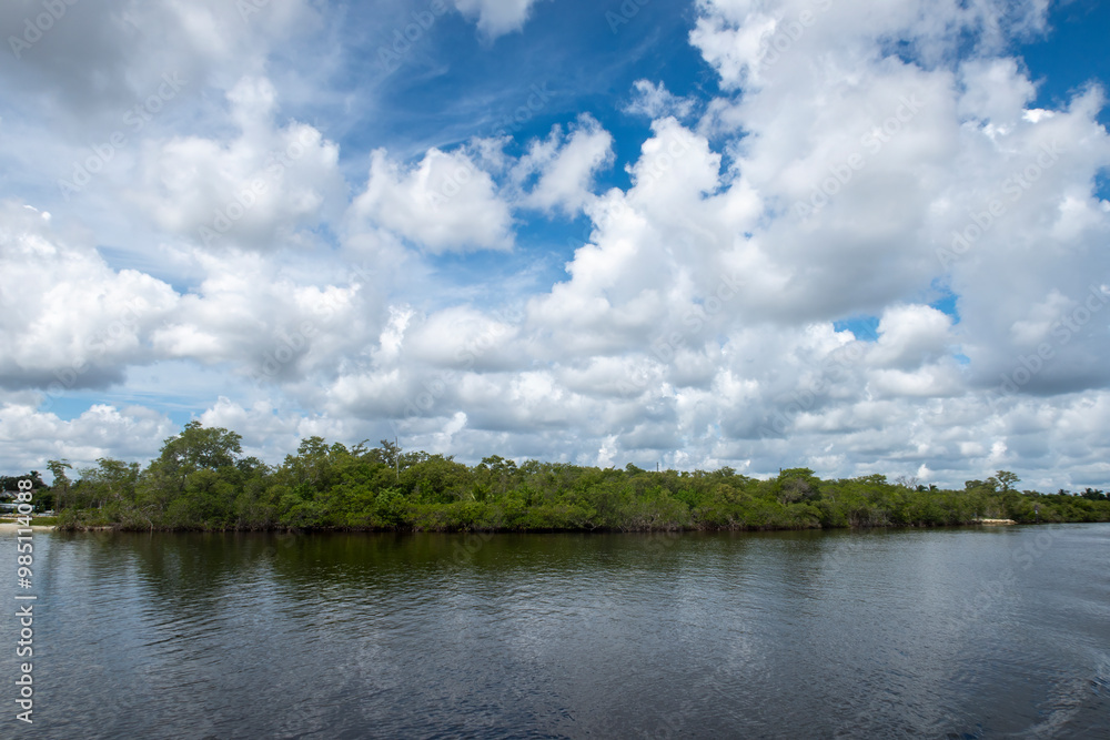 The mangroves of Fullerton Island in Jupiter, Florida, USA The mangroves of Fullerton Island in Jupiter, Florida, USA