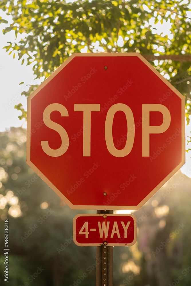 Stop sign surrounded by trees at sunset in the USA Stop sign surrounded by trees at sunset in the USA