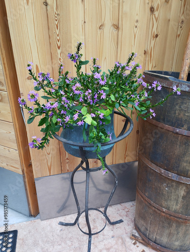 Blumendekoration an einem Hauseingang in Italien. Man fühlt sich willkommen. 