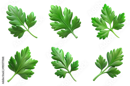 PNG parsley leaf 3d collection, in cartoon style minimal on transparent, white background, isolate 