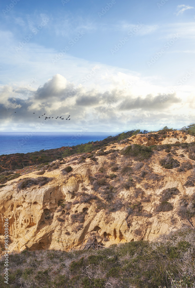 Conservation, ecosystem and ocean on mountain landscape in nature for eco friendly sustainability. Earth, environment and sea with foliage growth outdoor in natural habitat of location at San Diego Conservation, ecosystem and ocean on mountain landscape in nature for eco friendly sustainability. Earth, environment and sea with foliage growth outdoor in natural habitat of location at San Diego
