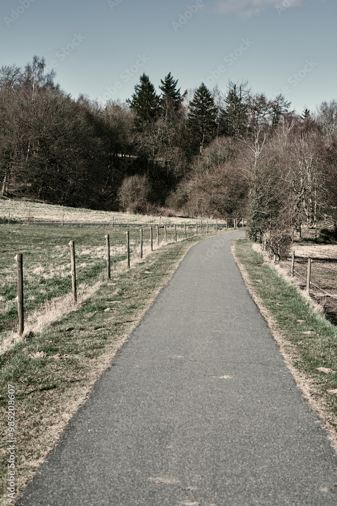 Path, route and travel outdoor in nature with trees for countryside vacation, environment and asphalt street. Road, sustainable and structure for trail adventure, holiday journey and lane direction Path, route and travel outdoor in nature with trees for countryside vacation, environment and asphalt street. Road, sustainable and structure for trail adventure, holiday journey and lane direction