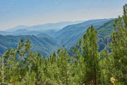 Pine forest, blue sky and landscape of nature with mountain for hiking, travel location and adventure in woods. Background, cliff or peak in natural environment for trekking destination in California