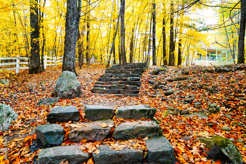 Trails near the Kingsmere lake on scenic and historic Mackenzie King estate,the residence of former Canadian prime minister,Mackenzie King with fallen autumn leaves at Gatineau Park,Quebec,Canada photo