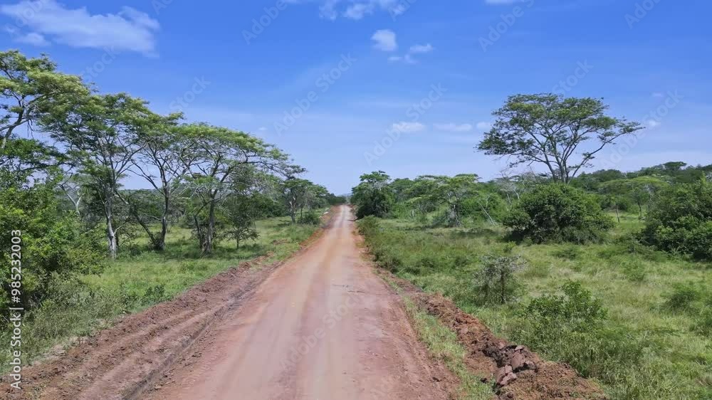 A winding road through lush African savanna, Lake Mburo National Park, Uganda A winding road through lush African savanna, Lake Mburo National Park, Uganda