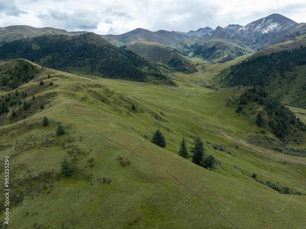 Fototapeta premium Beautiful forest mountains and grassland valley landscape in Sichuan,China