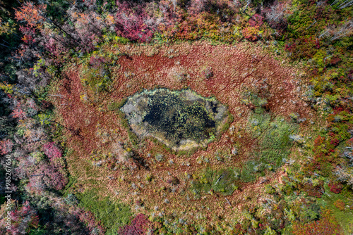 Aerial view of a Massachusetts quaking bog in autumn 