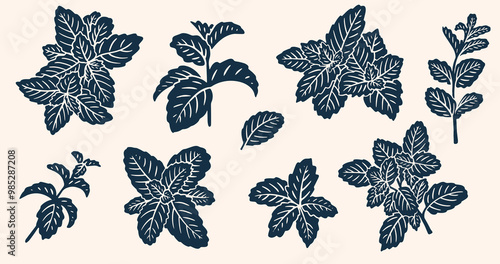 Realistic Mint Leaves or Mint Leaf Peppermint, for  Mint Flavour Herb Botanical in Vector Illustration