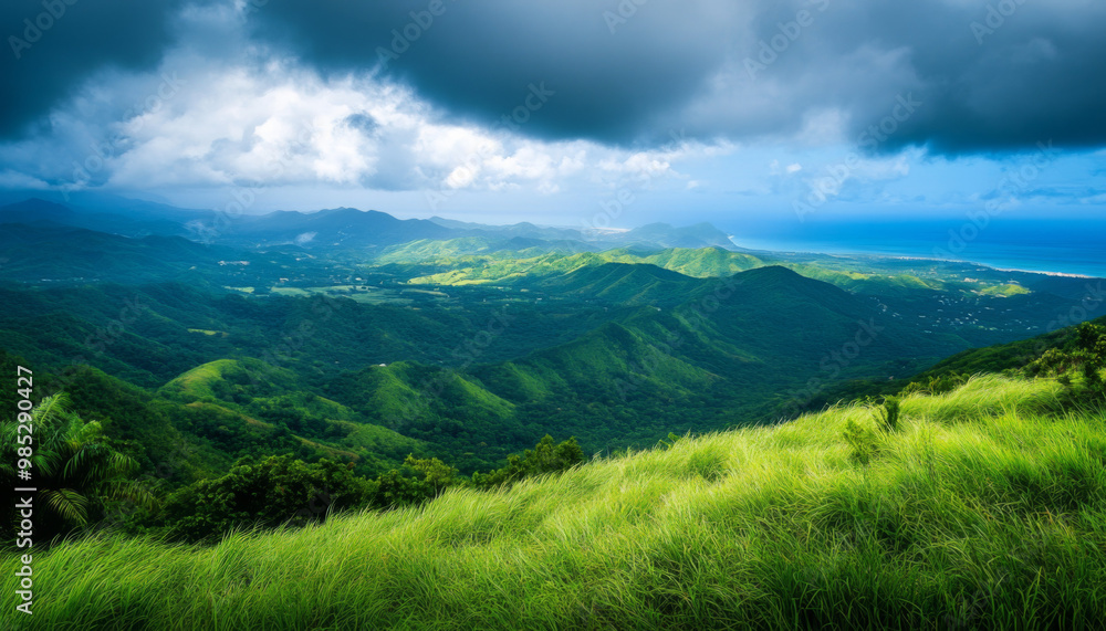 Puerto Rico, Puerto Rico Island Landscape, Tropical Vacation Getaway, Caribbean Island Puerto Rico, Puerto Rico Island Landscape, Tropical Vacation Getaway, Caribbean Island