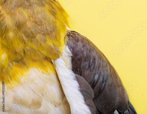 Elegant bird wings are in the corner, on a bright light yellow background. generative ai photo