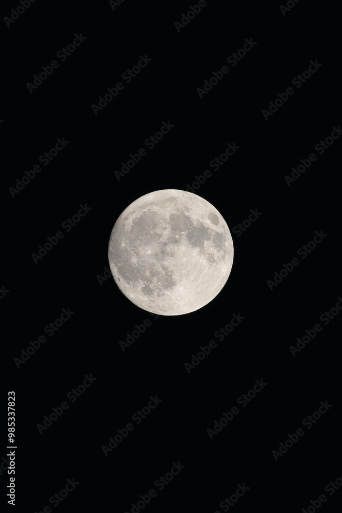 Mid-Autumn Moon Mid-Autumn Moon