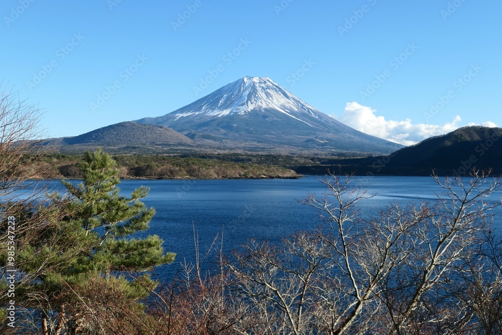 富士絶景 富士絶景