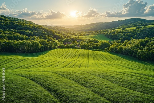 Expansive Aerial View of Vibrant Lush Agricultural Fields Under Clear Blue Sky in Rural Landscape