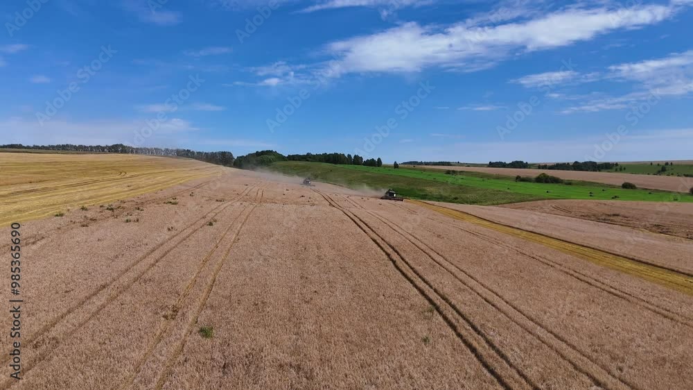 a combine harvester in a wheat field performs harvesting operations