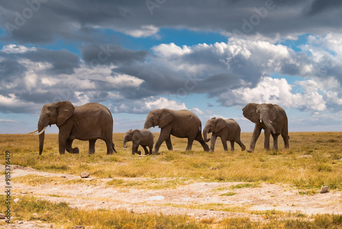 Family of elephants on ladscape at Amboseli