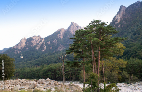 Pine trees and a cable car going up to Gwongeumseong Fortress at Seoraksan National Park near Sokcho-si, South Korea photo