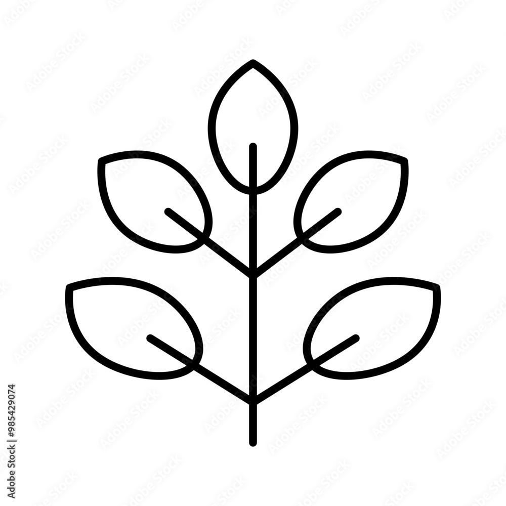 spinach line icon spinach line icon
