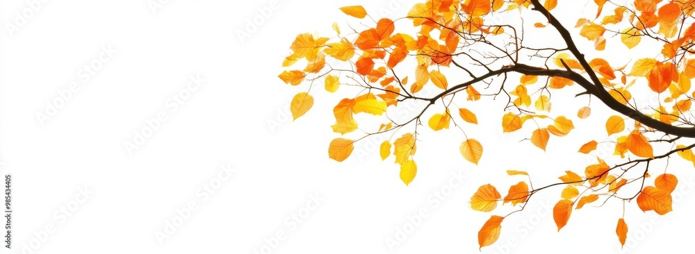 A Stunning Display of Yellow and Orange Leaves in Air A Stunning Display of Yellow and Orange Leaves in Air
