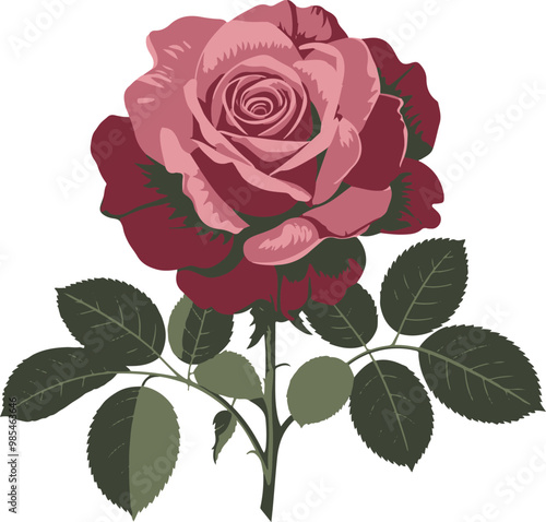 ELEGANT SINGLE ROSE VECTOR ART ILLUSTRATION