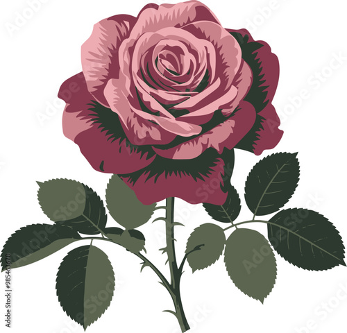 REALISTIC ROSE VECTOR ART ILLUSTRATION