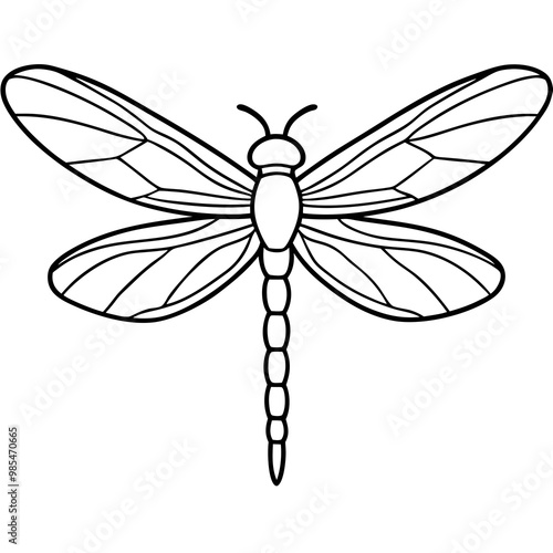 Intricate Dragonfly Wings Line Art Vector
