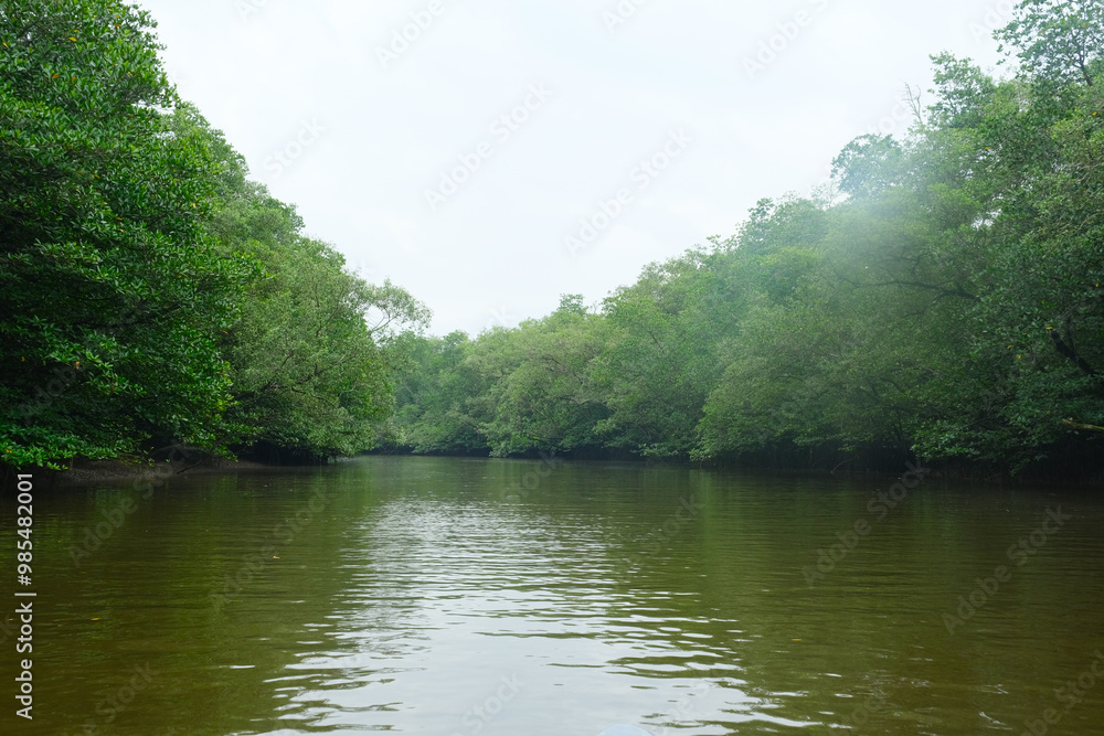 A picture of mangrove landscape of Johor before raining. A picture of mangrove landscape of Johor before raining.