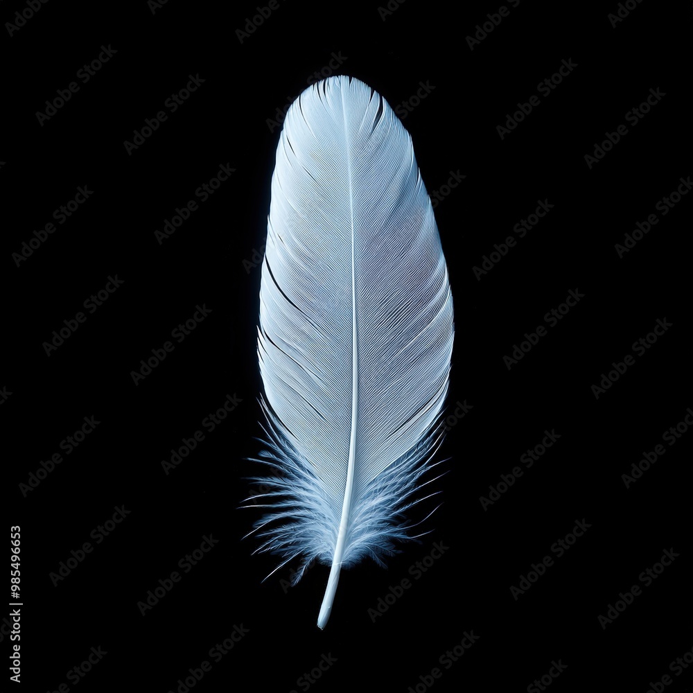 Single white feather