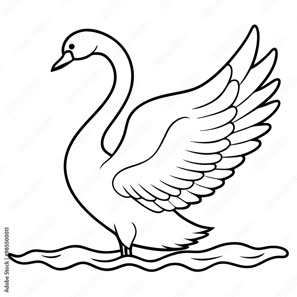 Swan Stretching Wings Above Water Detailed Line Art Vector Swan Stretching Wings Above Water Detailed Line Art Vector