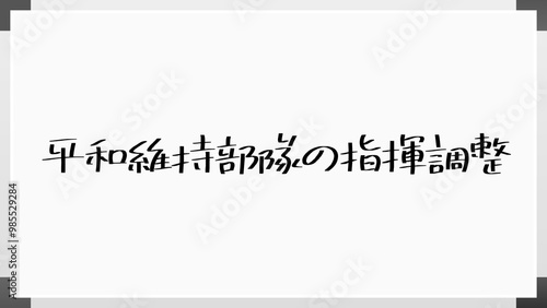 平和維持部隊の指揮調整 のホワイトボード風イラスト