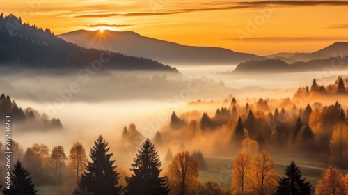 Golden Sunrise Over Misty Forest