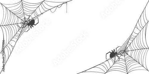 illustration of a spider web halloween frame, spider web vector eps