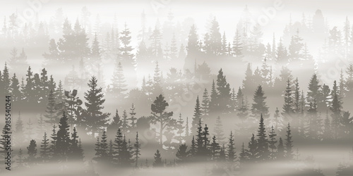 Coniferous forest in the morning fog, landscape in sepia tones, monochrome, vector landscape	