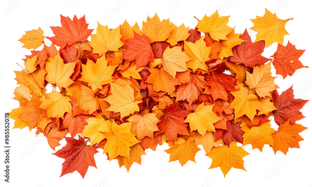 Pile of autumn leaves isolated on transparent background Pile of autumn leaves isolated on transparent background