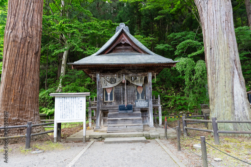 飯盛山の老杉と厳島神社