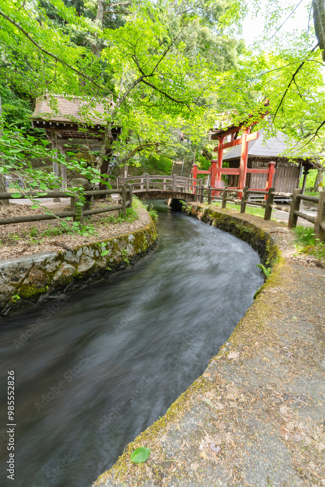 飯盛山に流れる川と鳥居 飯盛山に流れる川と鳥居