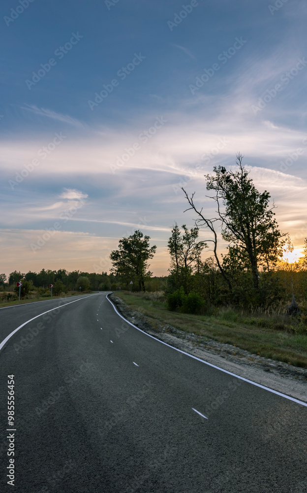Fototapeta premium A road with a few trees in the background